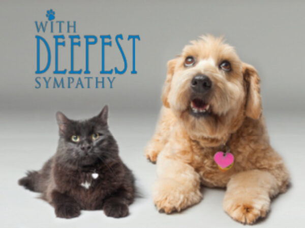 cat and dog deepest sympathies card