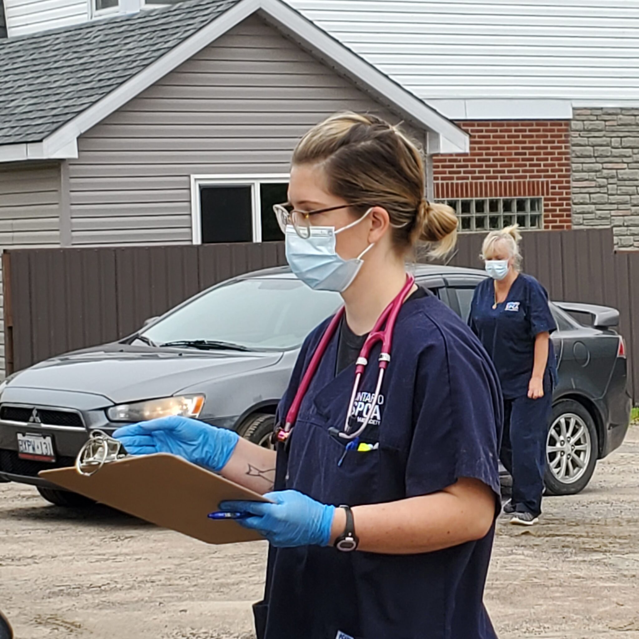 Spay It Forward Greensburg Pa - 9at668a