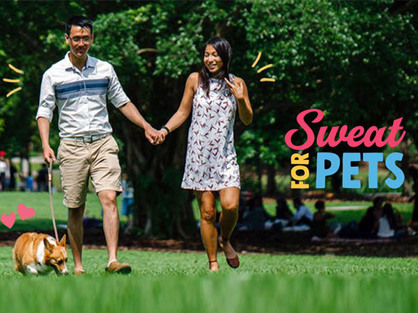happy couple holding hands walking dog
