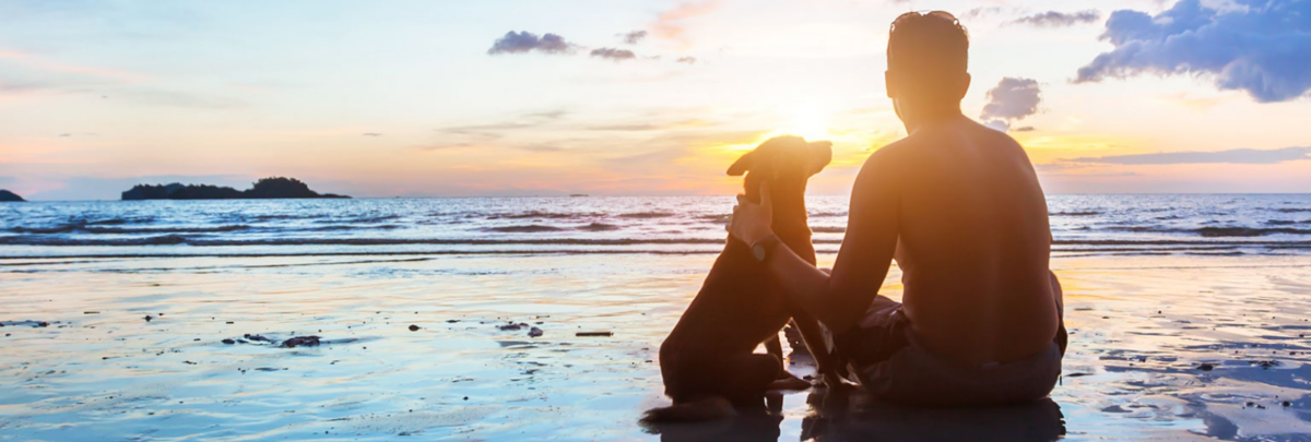 pet-loss-support-group-ontario-spca-and-humane-society