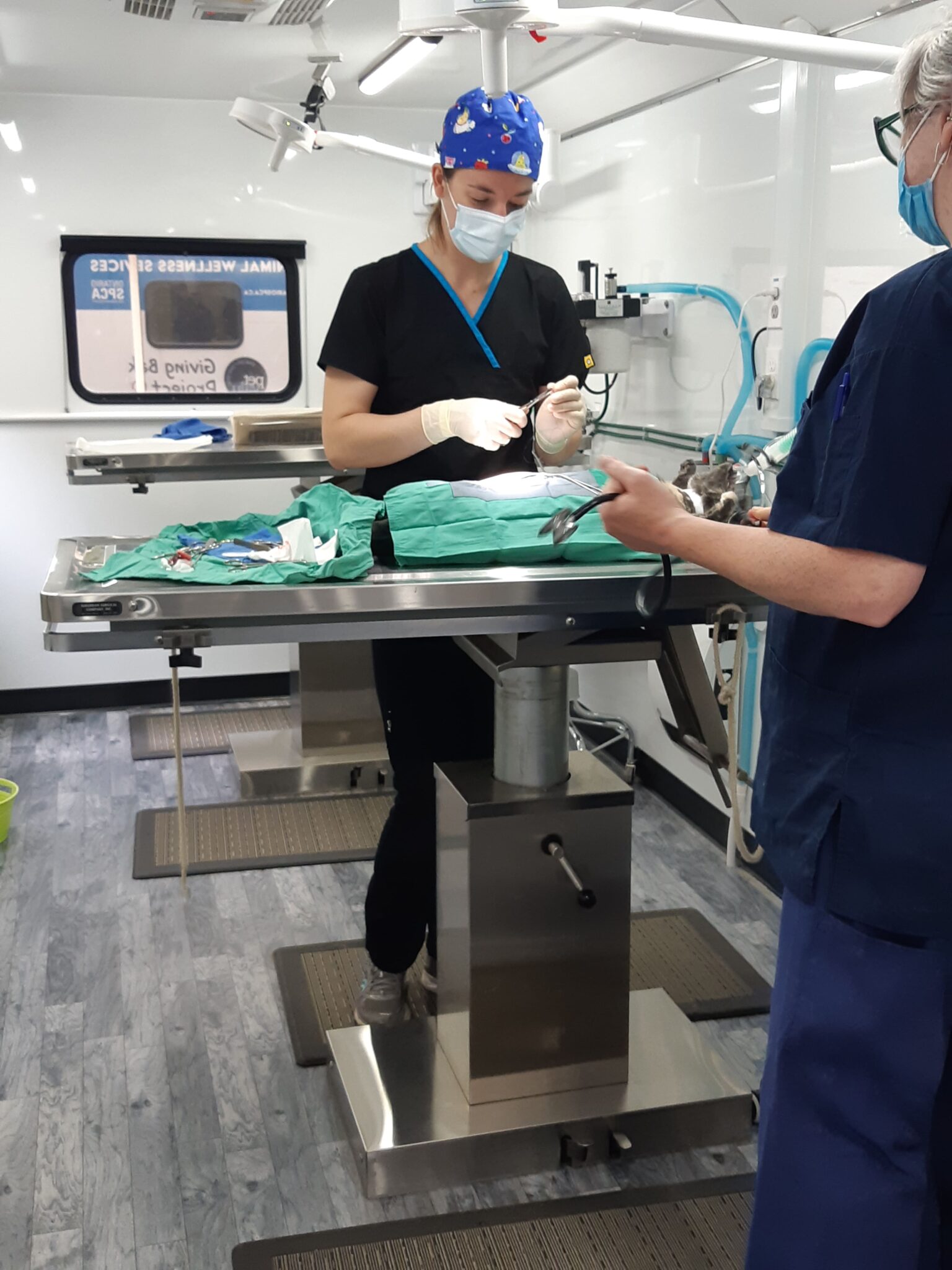 The Ontario SPCA’s mobile spay/neuter unit returns to Cornwall