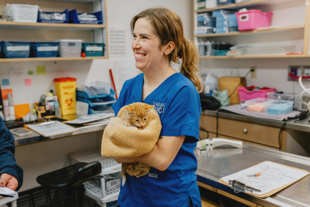 A smiling veterinary professional in blue scrubs stands in an exam room, gently holding an orange tabby kitten wrapped in a tan towel.