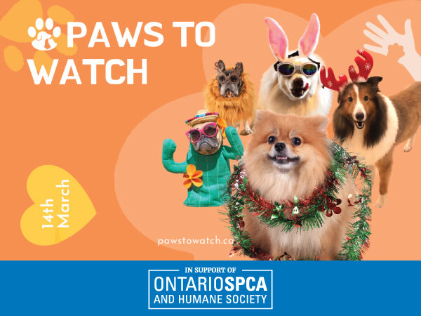 Ontario SPCA and Humane Society - Ontario SPCA and Humane Society Ontario SPCA and Humane Society - Ontario SPCA and Humane Society