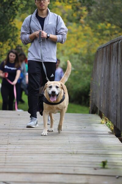 sweat for pets, media release