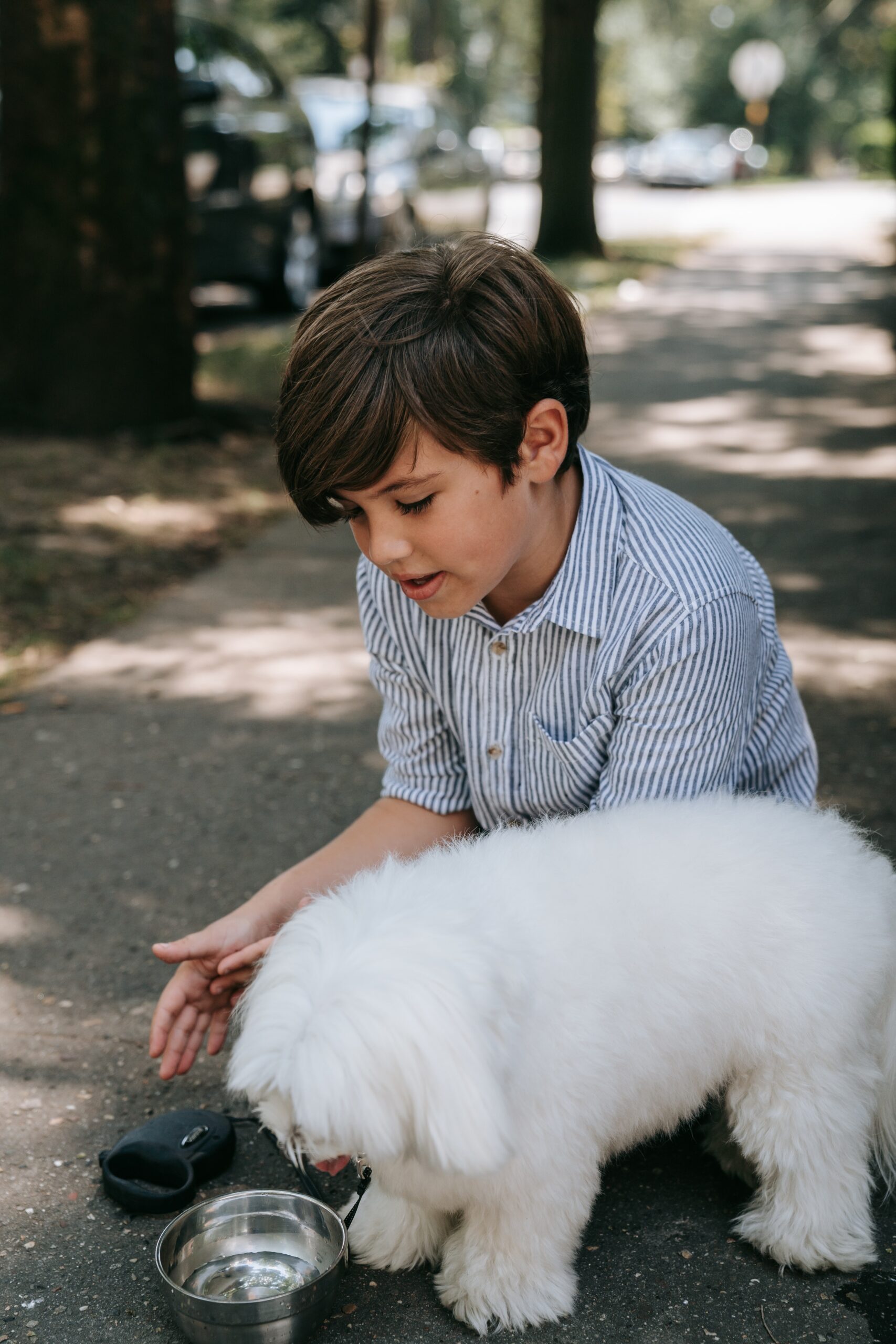 How Much Water Should Your Dog Be Drinking?