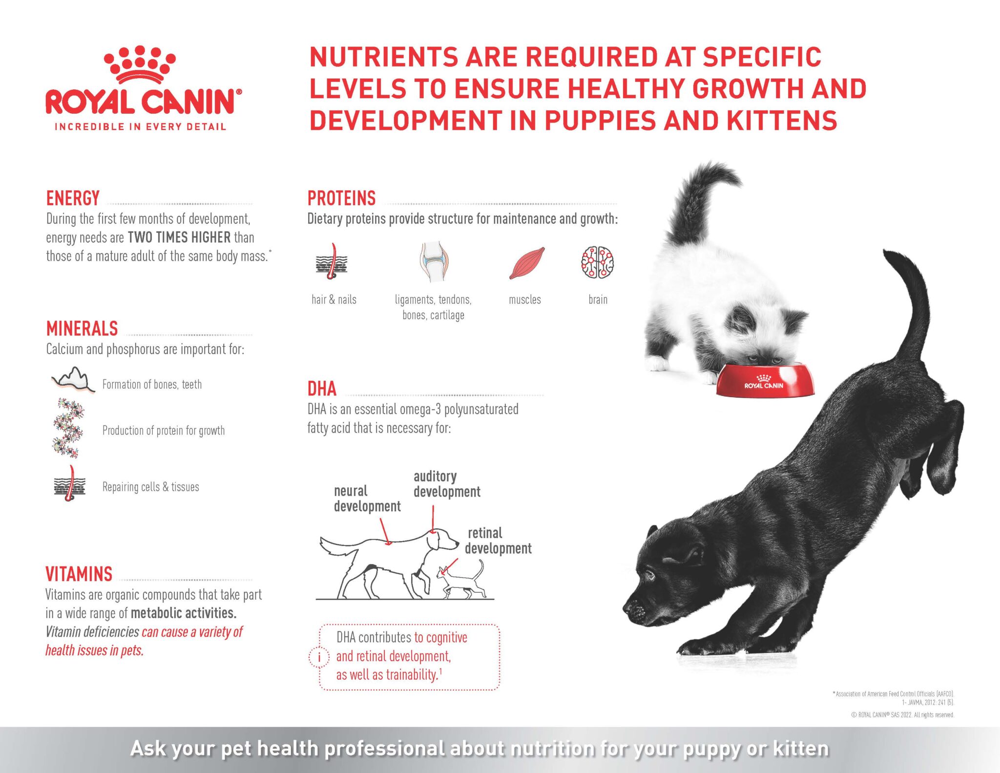 Growing Up Strong Nutrient Essentials for Puppies & Kittens Ontario