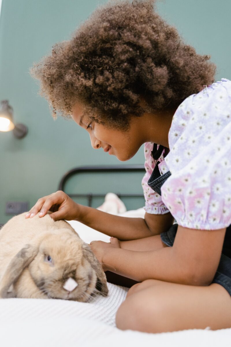 What your rabbit’s frame language is telling you