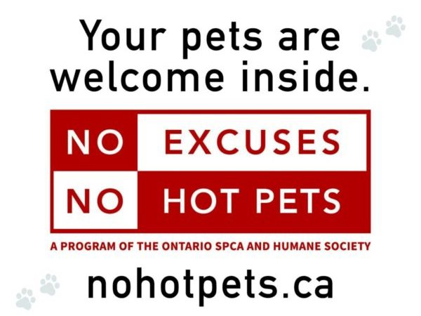 no hot pets, local business, local businesses