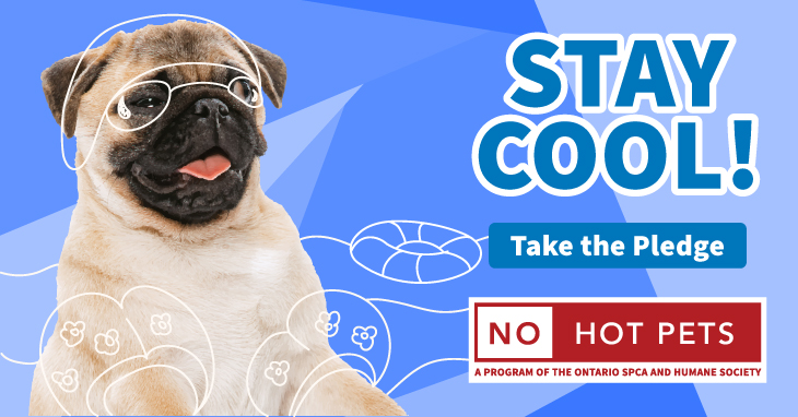 no hot pets graphics