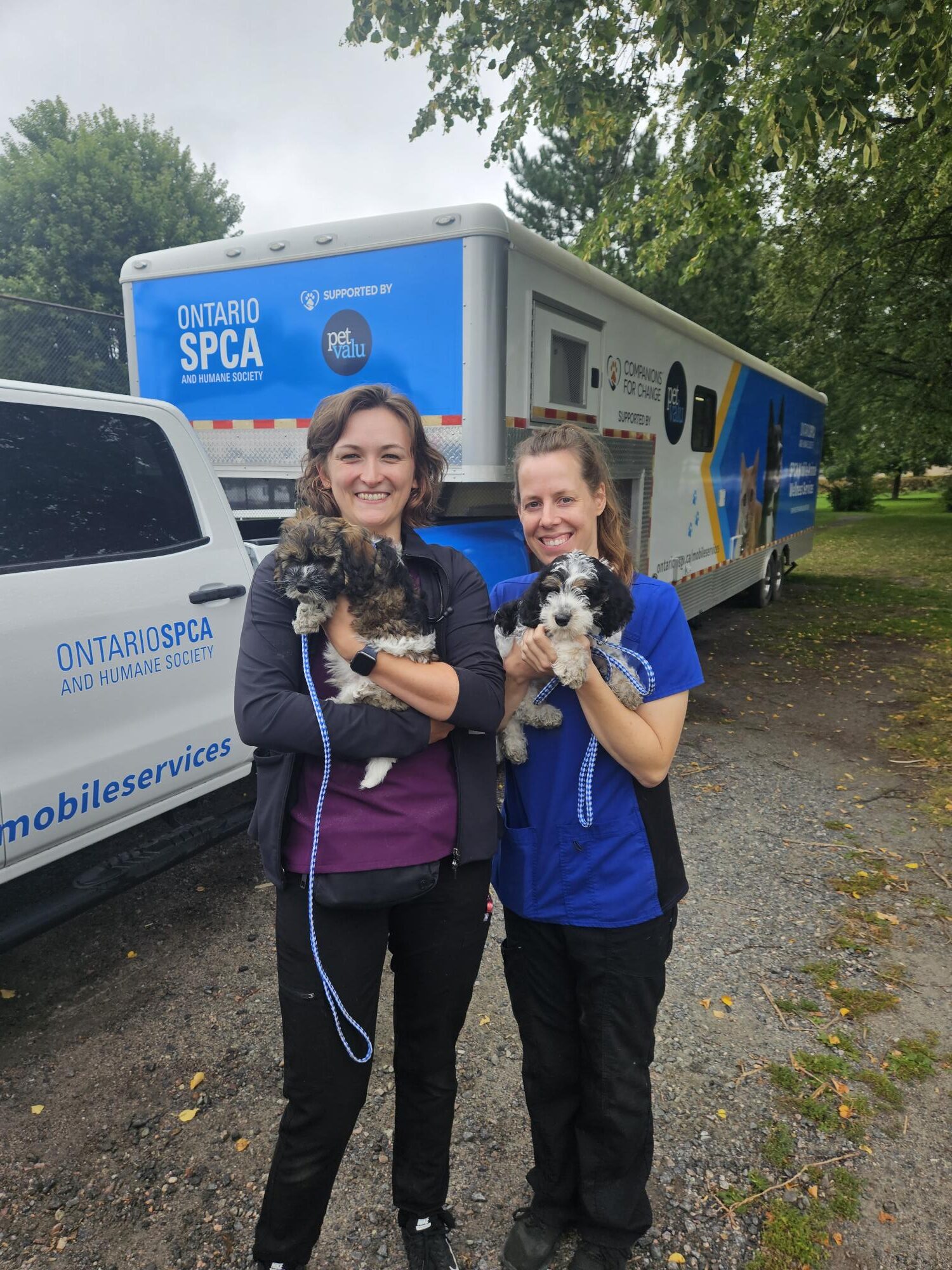 The Ontario SPCA seeks a new location in Sudbury for its mobile spay