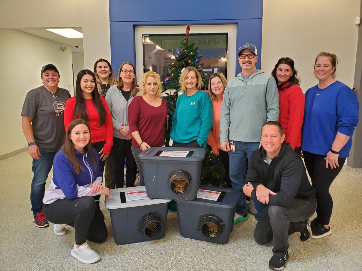Coming in combination to lend a hand neighborhood cats this wintry weather