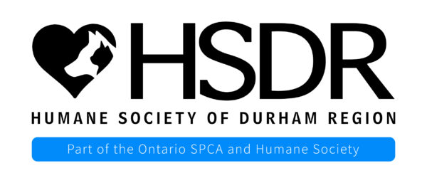 HSDR logo