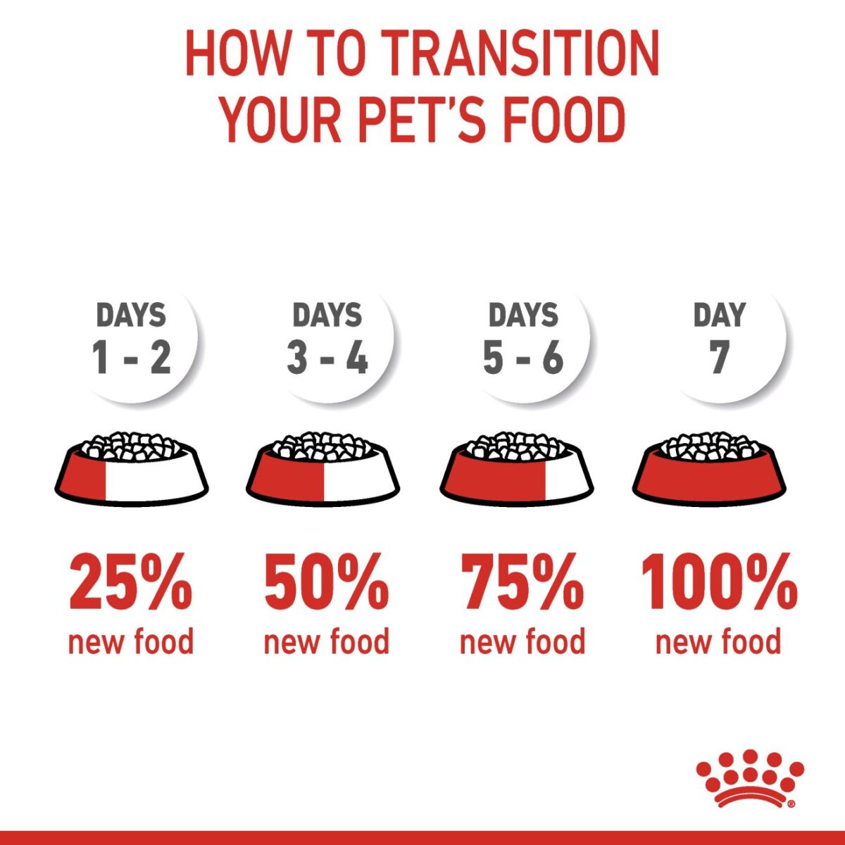 How to change your kitten's food