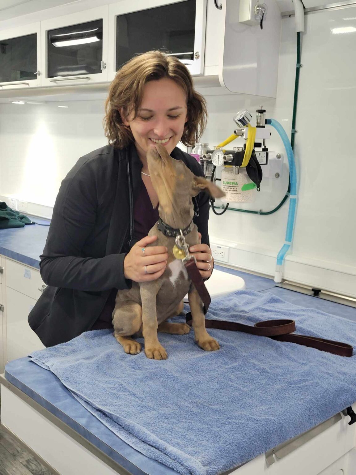 The Ontario SPCA seeks a new location in Sudbury for its mobile spay