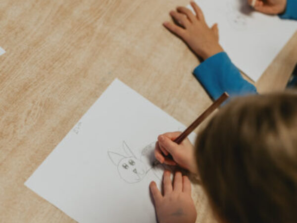 kid drawing animal