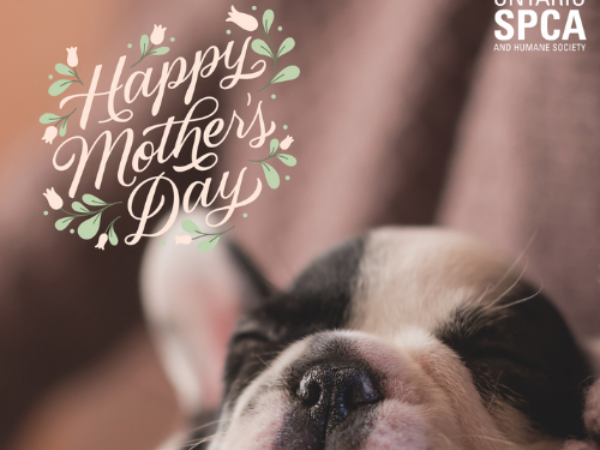 Mother's Day e-card