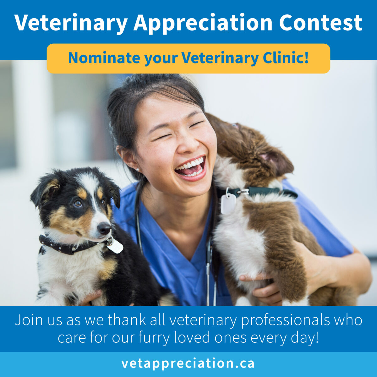 Celebrating Our Veterinary Professionals The Ontario SPCA and Humane