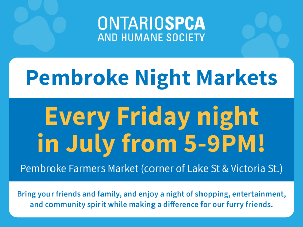 pembroke night markets
