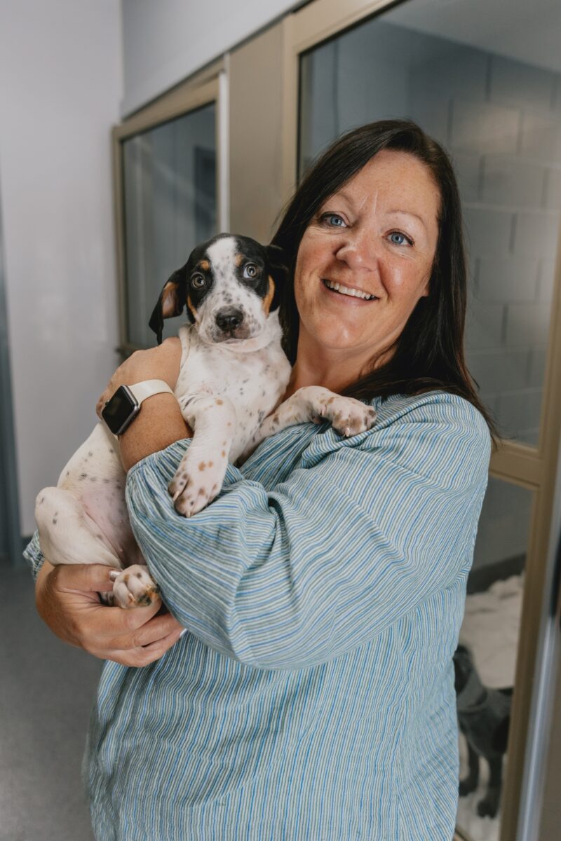 40 years of working for the animals - Ontario SPCA and Humane Society