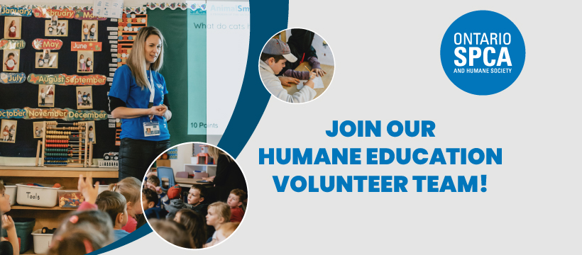 humane education volunteer