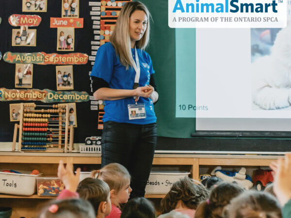 AnimalSmart presentation