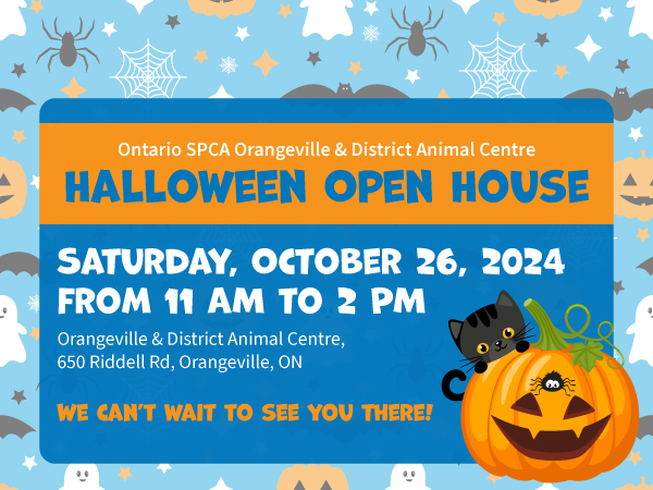 halloween open house