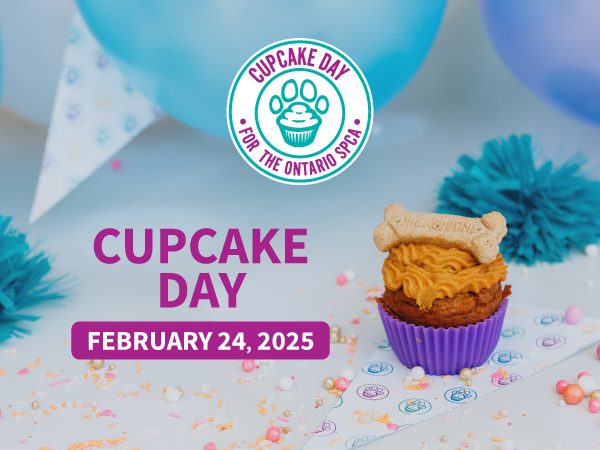 cupcake day 2025