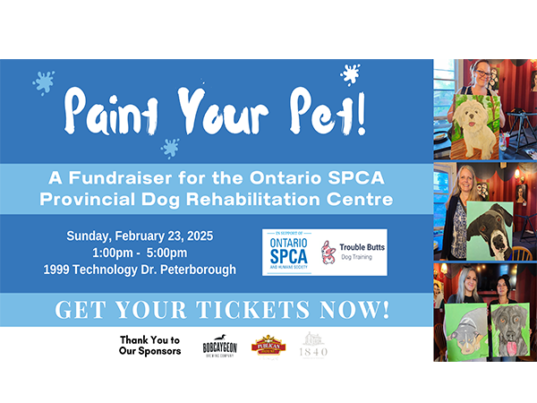 pdrc paint your pet