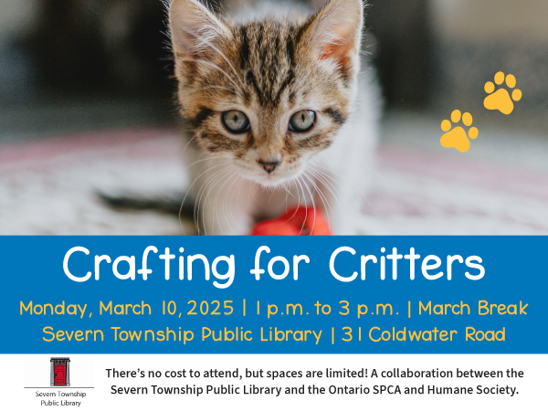 crafting for critters kitten