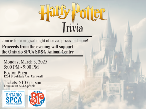 Event image with Harry Potter background and third party logo