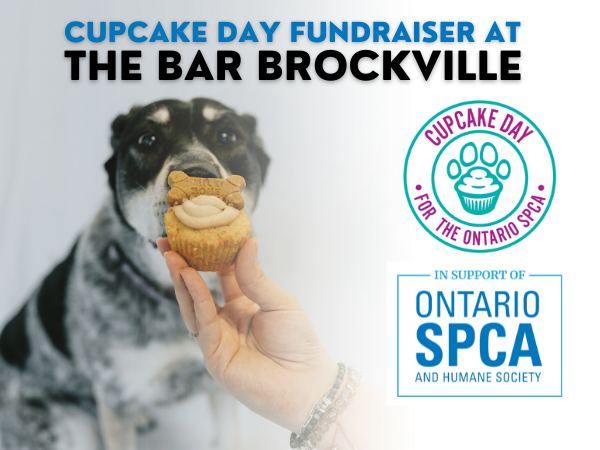 event image with logos and background of dog with cupcake