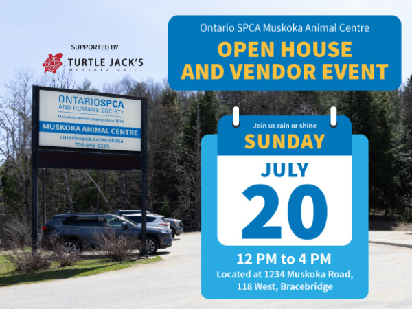 muskoka open house