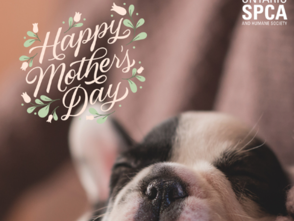 Mother's Day