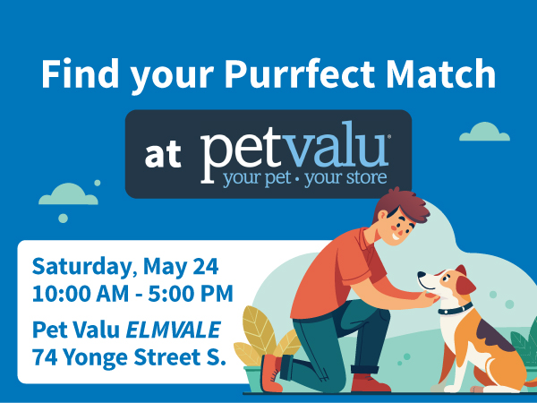 pet valu