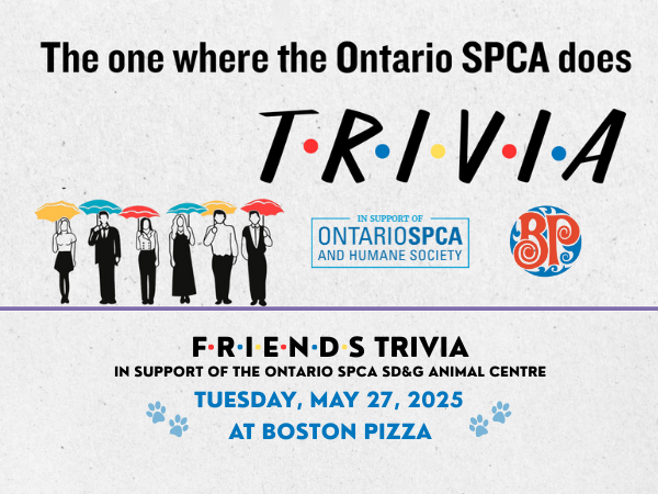 FRIENDS theme Trivia event image 