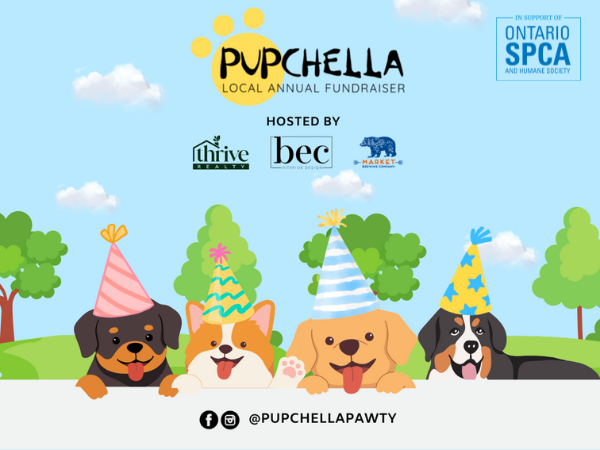 Pupchella at market brewery event image with cartoon dogs