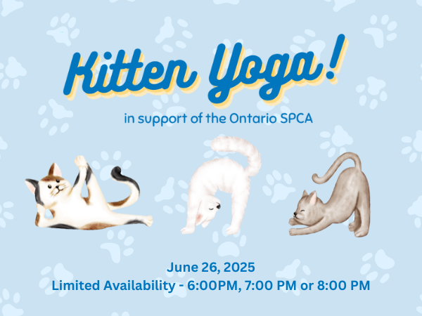 Kitten yoga poster with event info and kittens in yoga poses