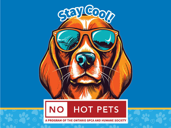 no hot pets