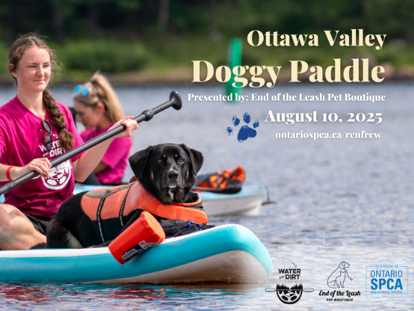 doggy paddle fundraiser