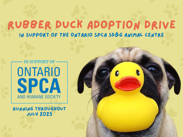 event details with pug holding rubber duck