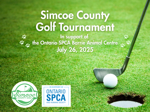 golf tournament event image with event details and golf putter and ball