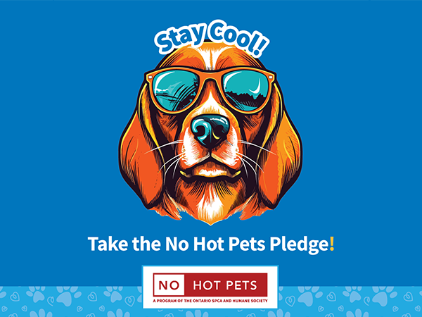 no hot pets