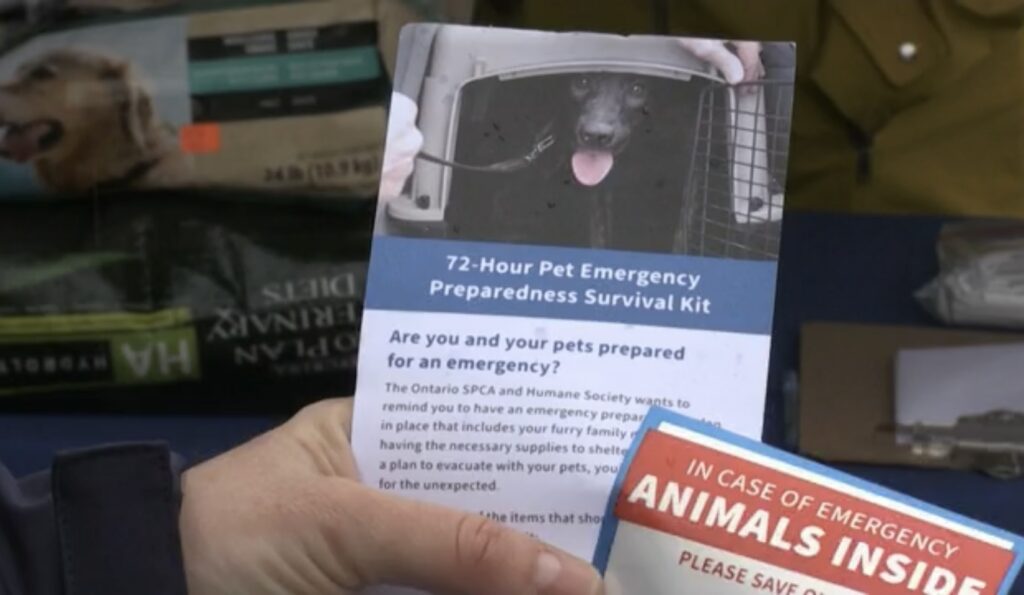 hand holding up 72-hour emergency kit pamphlet