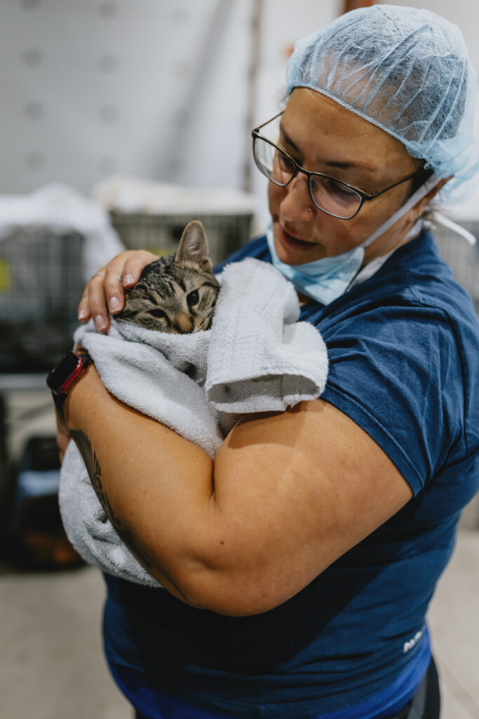 Woman in surgical wear, lovingly holds cat wrapped in white towel.