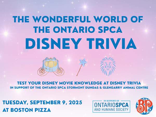 Disney trivia event image with cartoon cats and castle
