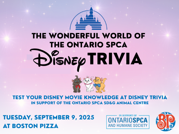 trivia event details, disney logo and disney cats pictured