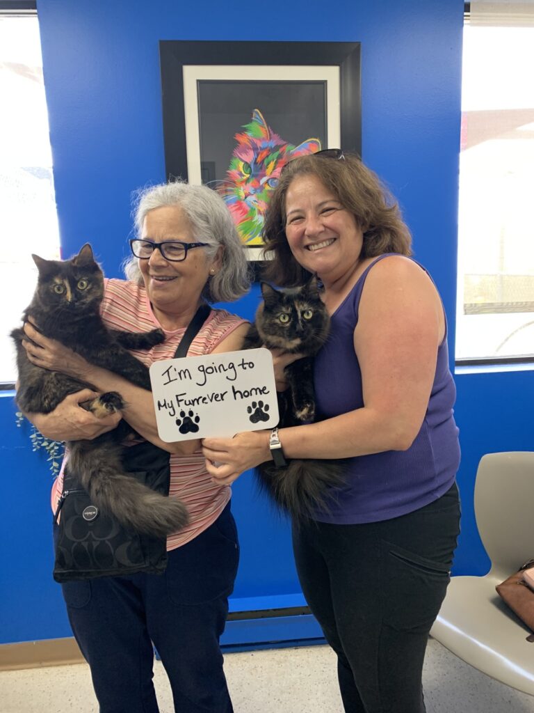 Two women in an office holding cats, smiling and holding a sign that says I’m going to my furever home.