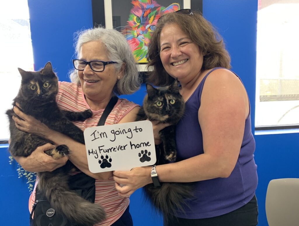 Two women in an office holding cats, smiling and holding a sign that says I’m going to my furever home.