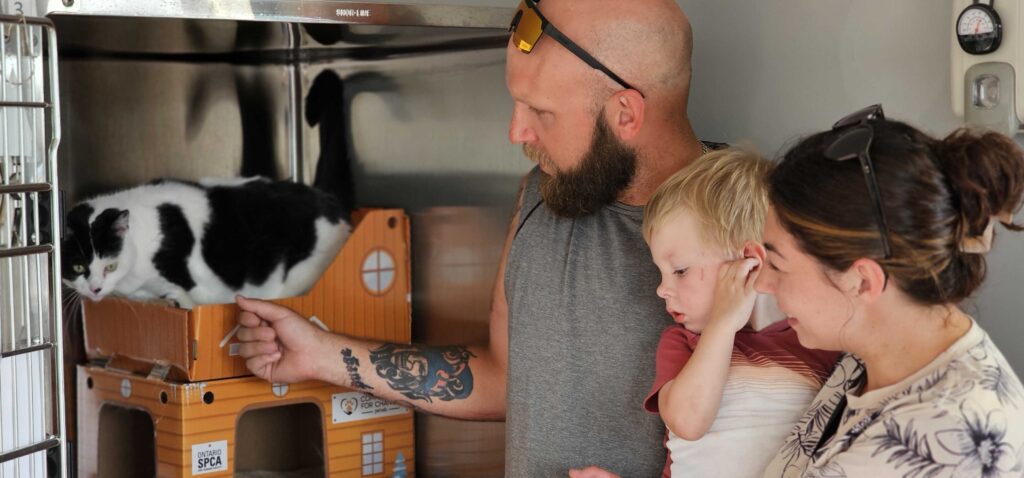 Family of three—father, mother, and young child—stands inside an animal centre, gently interacting with a black and white cat resting on a cat cabin inside a kennel.