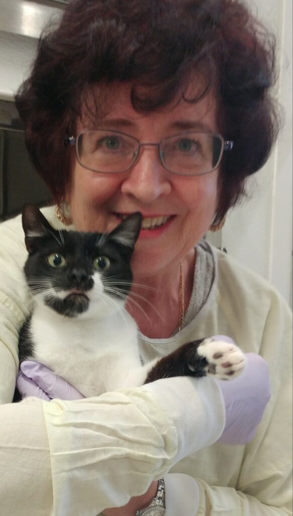 Smiling woman wearing glasses and a yellow protective gown holds a black and white cat with gloved hands inside an animal care setting.